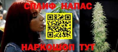 стаф Новозыбков