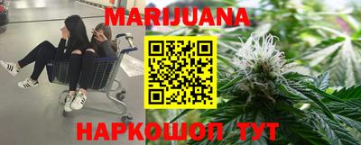 стаф Новозыбков