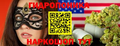 трава Новодвинск
