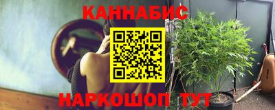 стаф Новозыбков