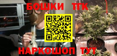 стаф Новозыбков