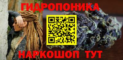 стаф Новозыбков