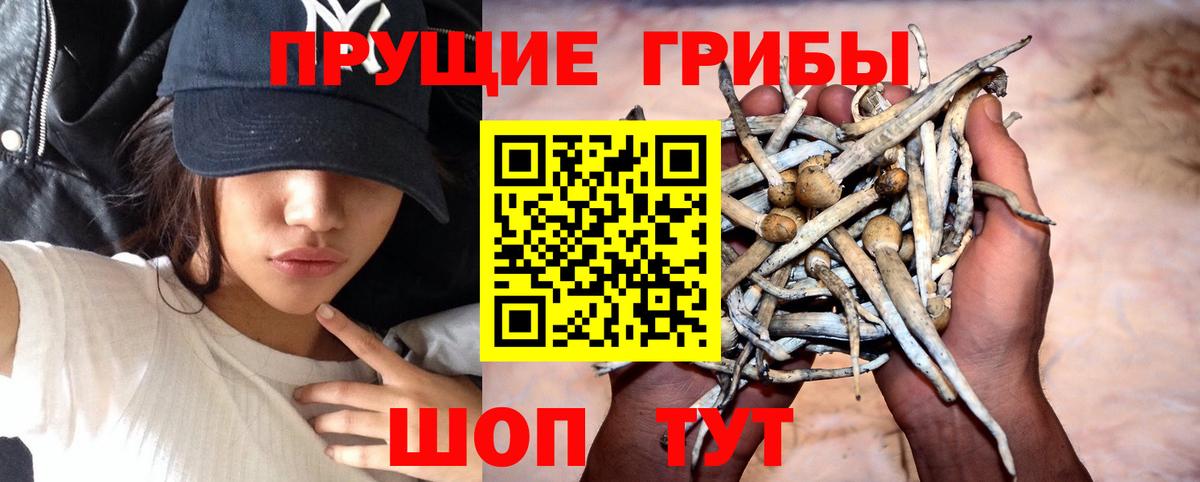Псилоцибиновые грибы MAGIC MUSHROOMS Урюпинск